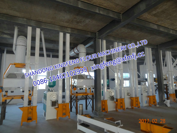 100T/24h Maize/Corn flour maize grits milling machinery