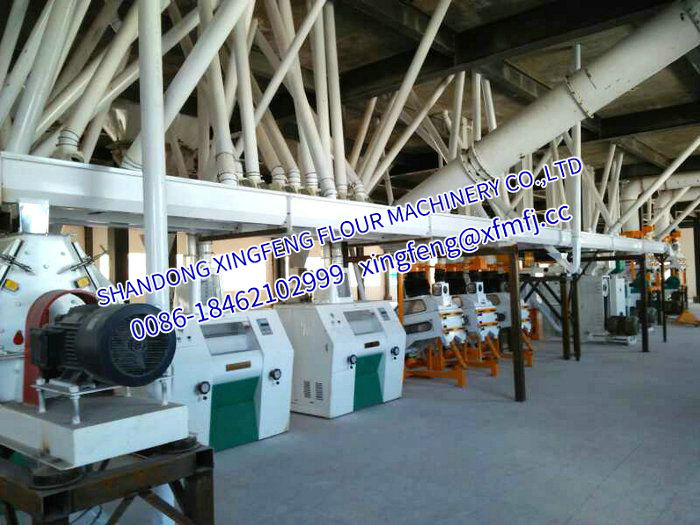 Highland barley seeds/Flour processing production line