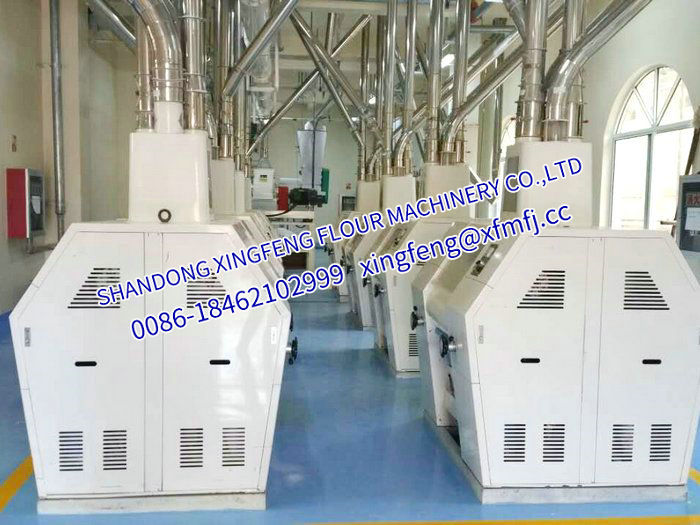 180-200T/24h Maize/Corn flour maize grits milling machinery