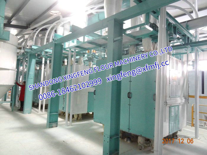 300噸/24h Maize/Corn flour maize grits milling machinery